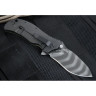 Нож ZERO TOLERANCE 0301 STRIDER ONION FOLDER SPEEDSAFE K0301